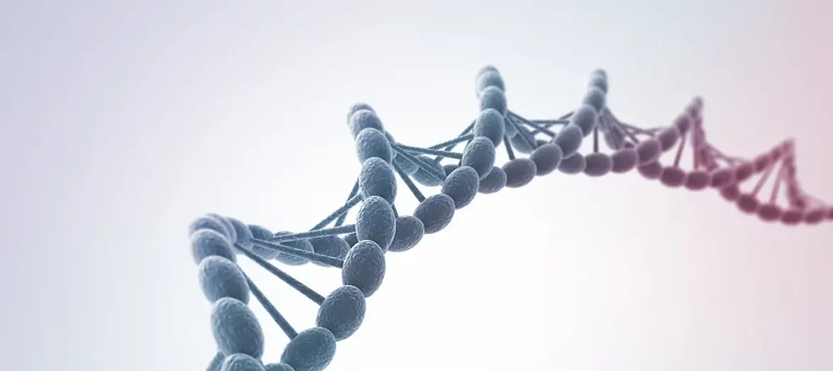 Пробиогеномика классических пробиотиков и пробиотиков нового поколения