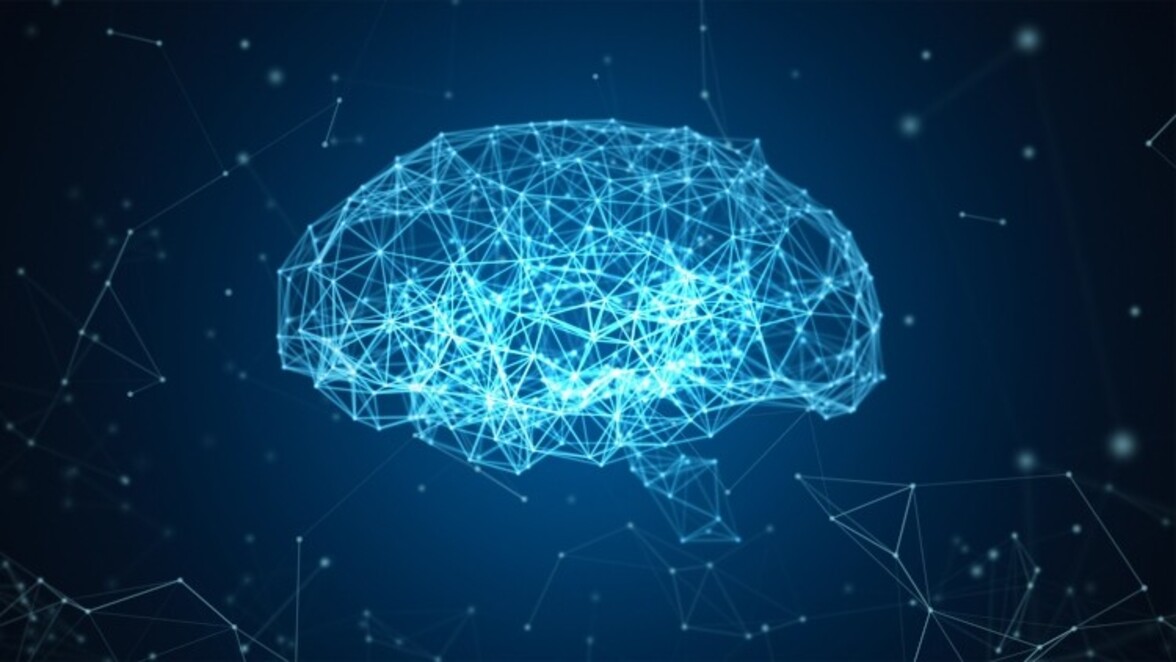 Что представляют собой психобиотики?