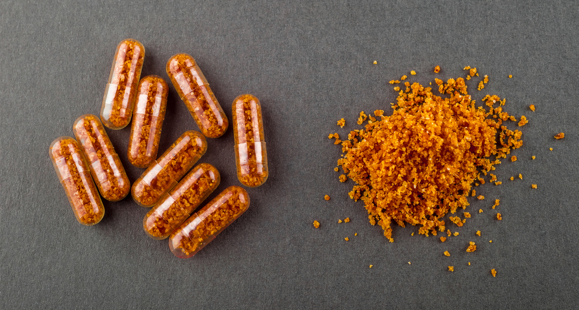 Вариабельность приживления штаммов и предсказуемость состава микробиоты после трансплантации фекальной микробиоты при различных заболеваниях