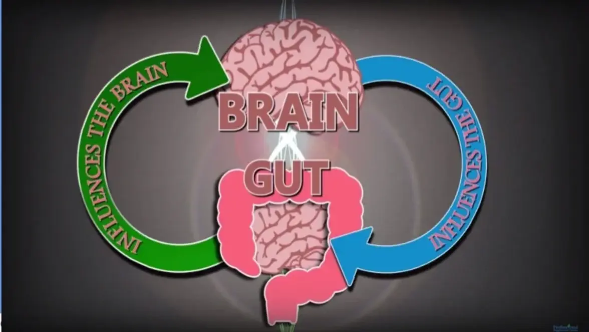 Пищевые подходы, направленные на микробиом кишечника, могут облегчить расстройства деятельности головного мозга