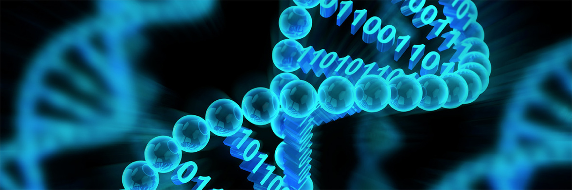 Общеевропейское распространение и эрадикация линий Neisseria gonorrhoeae с множественной лекарственной резистентностью: исследование геномного наблюдения