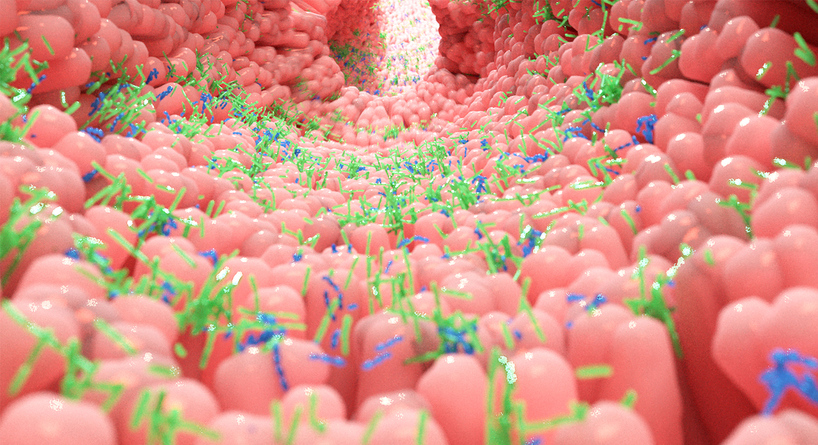 Обнаружено, что иннервирующие кишечник ноцицепторы регулируют кишечную микробиоту и способствуют защите тканей