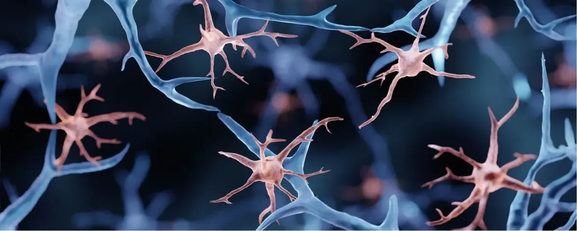 Древняя вирусная ДНК помогает мозгу мыши бороться с инфекцией