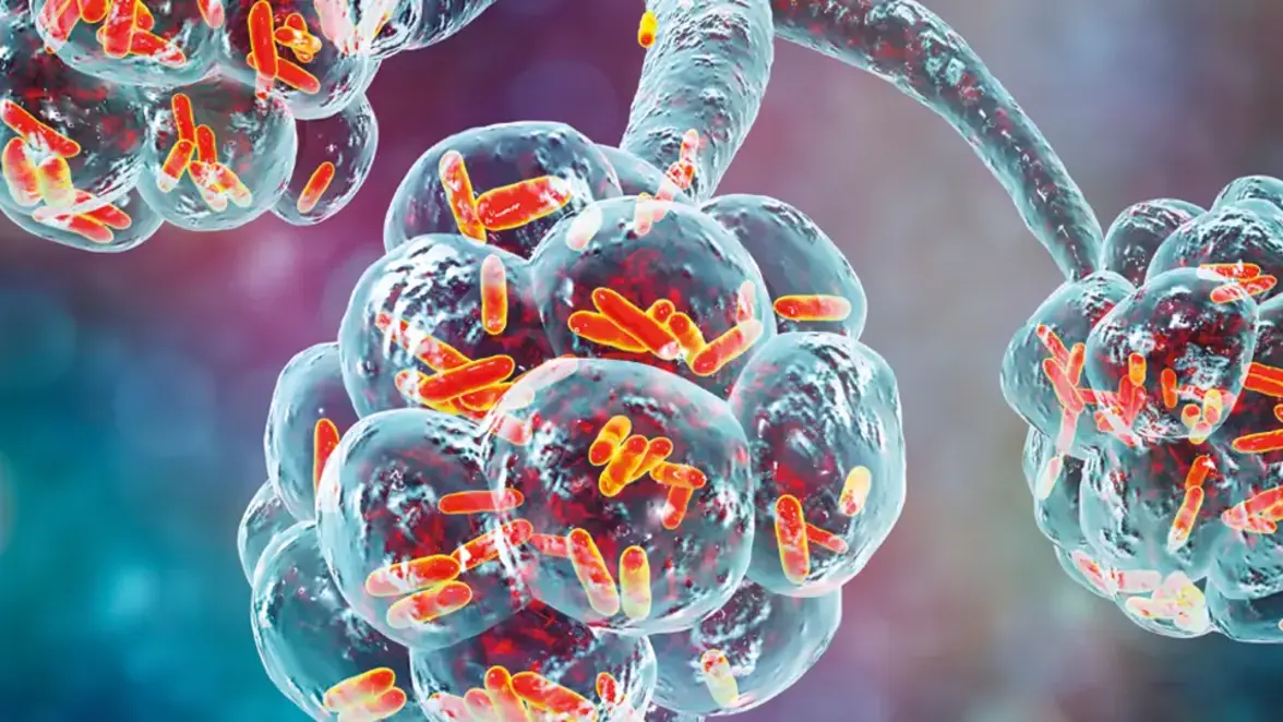 Оценка эффективности вакцин против коклюша у детей