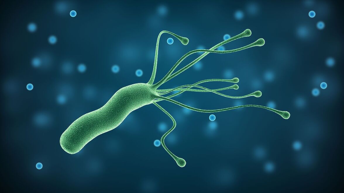 Эрадикация Helicobacter pylori для первичной профилактики язвенных кровотечений у пожилых пациентов, которым назначен аспирин в рамках первичной медицинской помощи: рандомизированное двойное слепое плацебо-контролируемое исследование