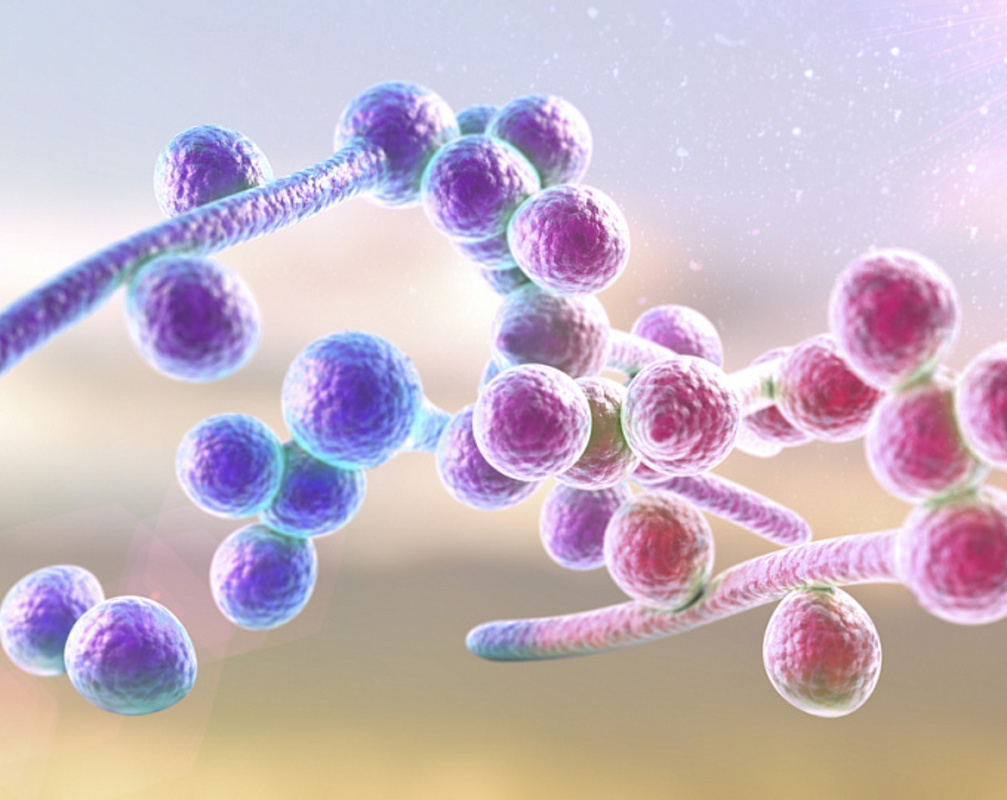 Прогресс в исследованиях взаимодействия между Candida albicans и раковыми заболеваниями