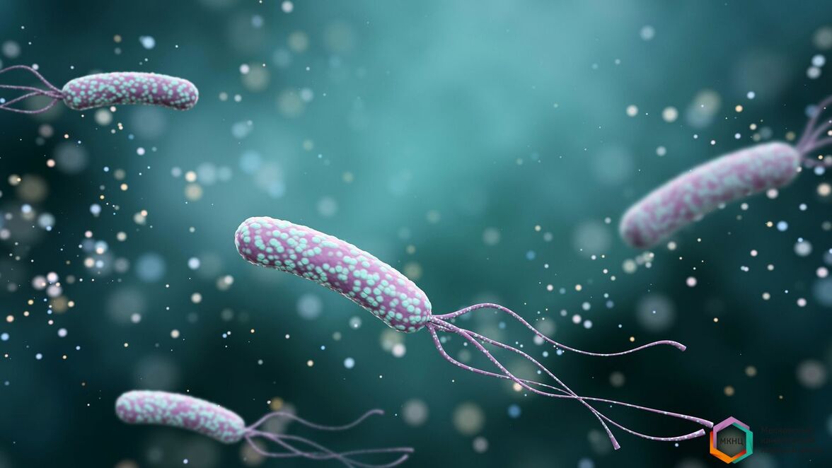 Лечение рефрактерной инфекции Helicobacter pylori: новый вызов для клиницистов
