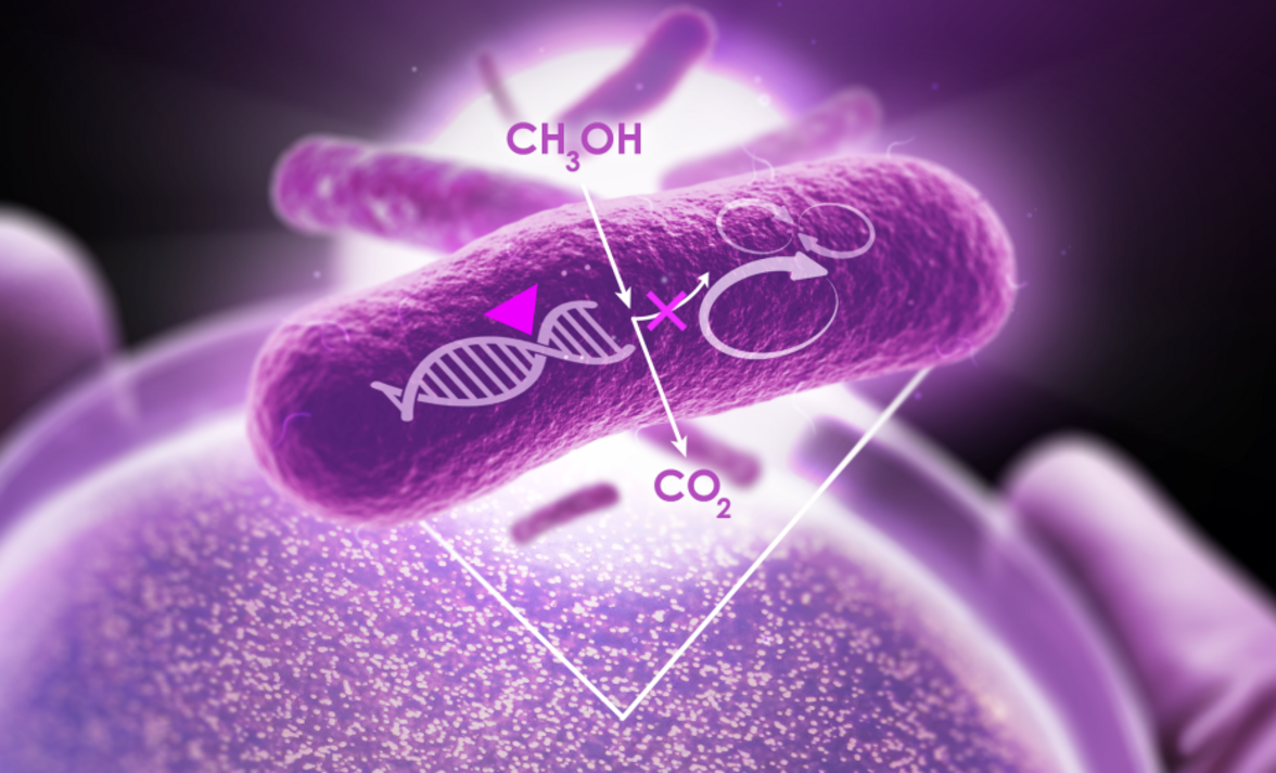 Новые достижения в области микробиотехнологий: 2021