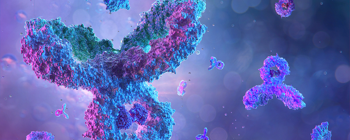 Антитела против гентамицина связаны с повышенным риском развития диабета 1 типа у детей