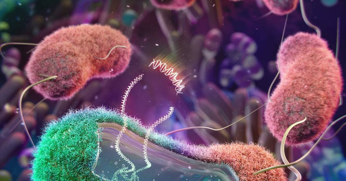 Разработка комбинированной терапии с использованием инженерных бактериальных терапевтических средств при немелкоклеточном раке легких