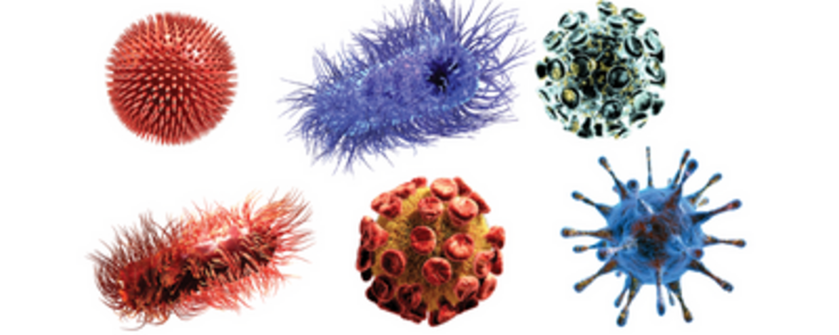 Расширение глобального РНК-вирома выявляет разнообразные клады бактериофагов