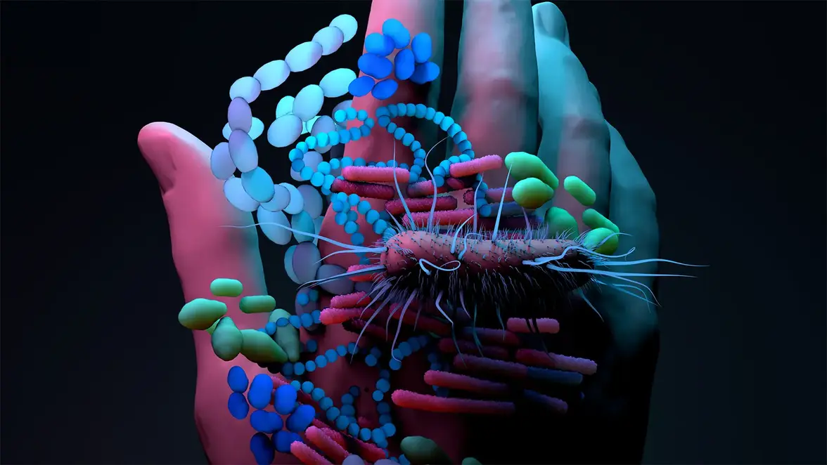 Загадки кожной микробиоты