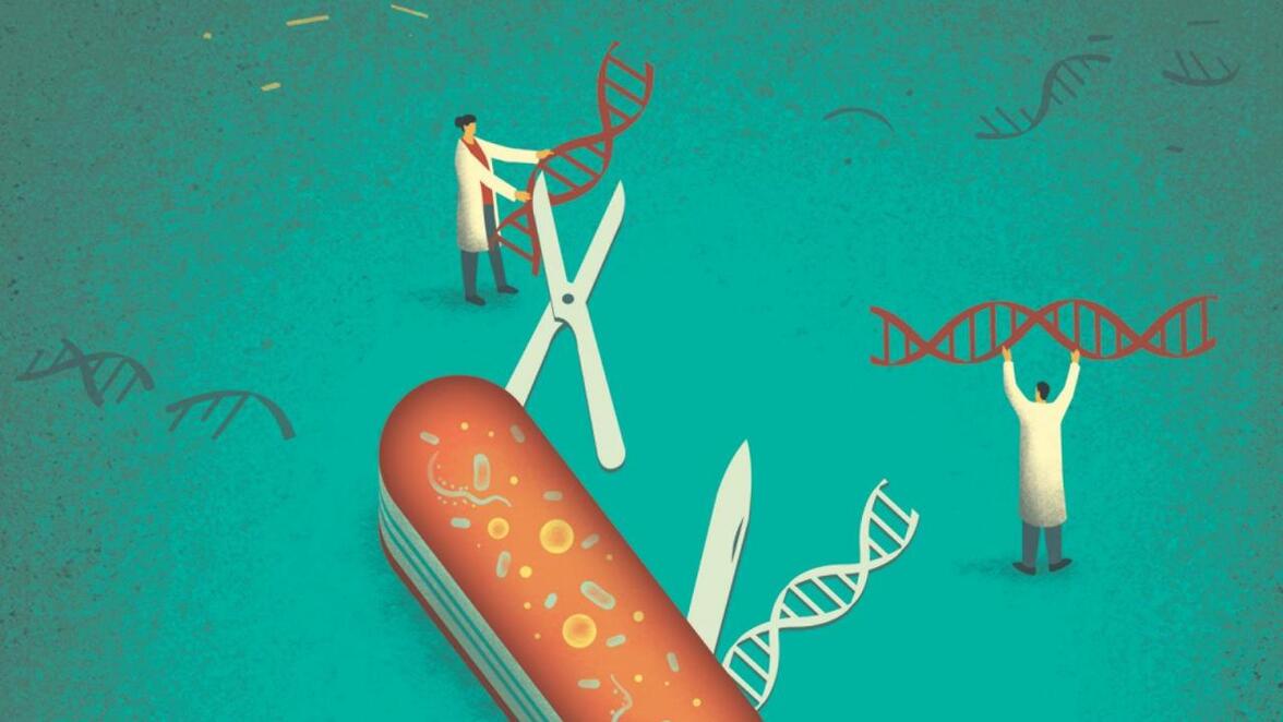 Генные драйвы могут бороться с малярией и другими глобальными убийцами, но могут привести к непредвиденным последствиям