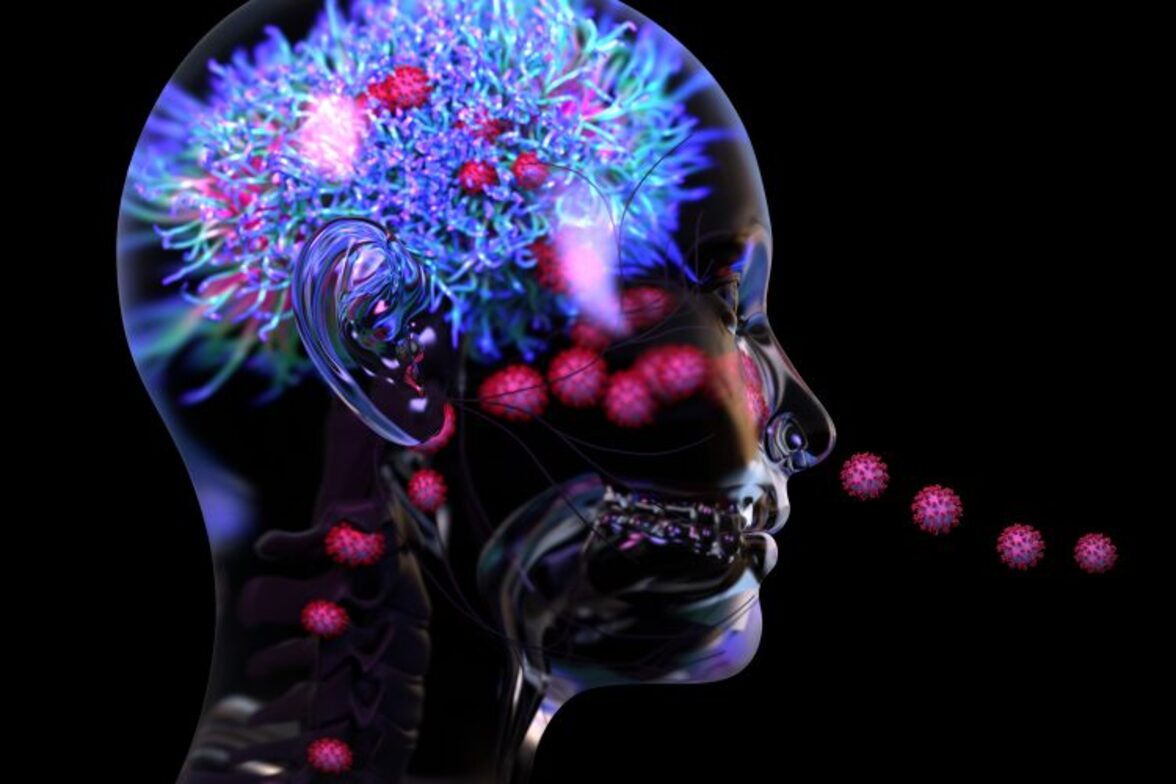 Масштабный анализ медицинской документации связывает вирусные заболевания с заболеваниями мозга