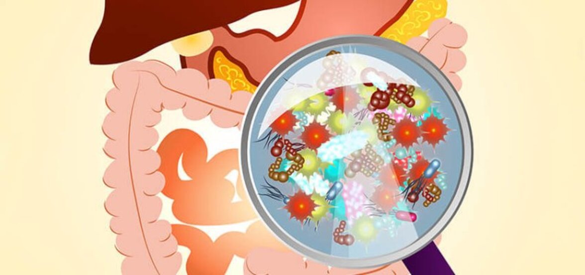 Роль кишечного вирома в здоровье и заболеваниях