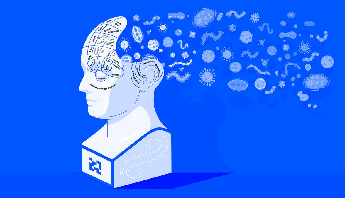 Кишечные бактерии, расщепляющие эстроген, связывают с депрессией у женщин