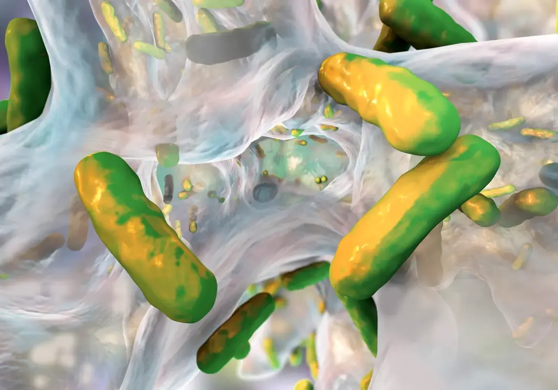 Бактерии доставляют радиацию к опухолям