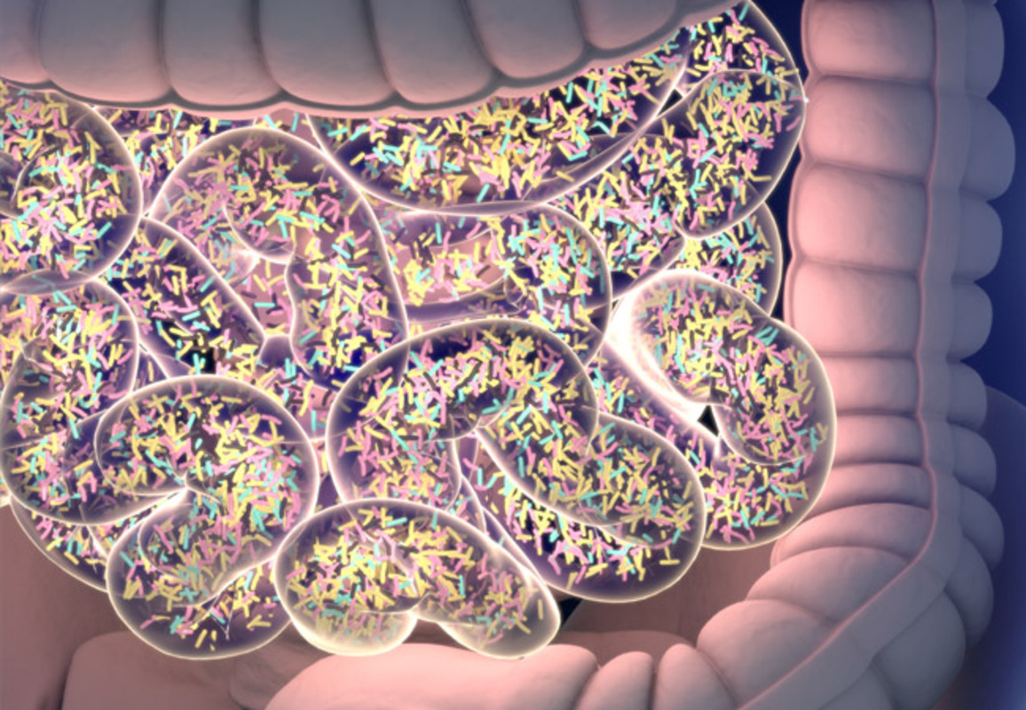 RExMap раскрывает секреты микробиома кишечника