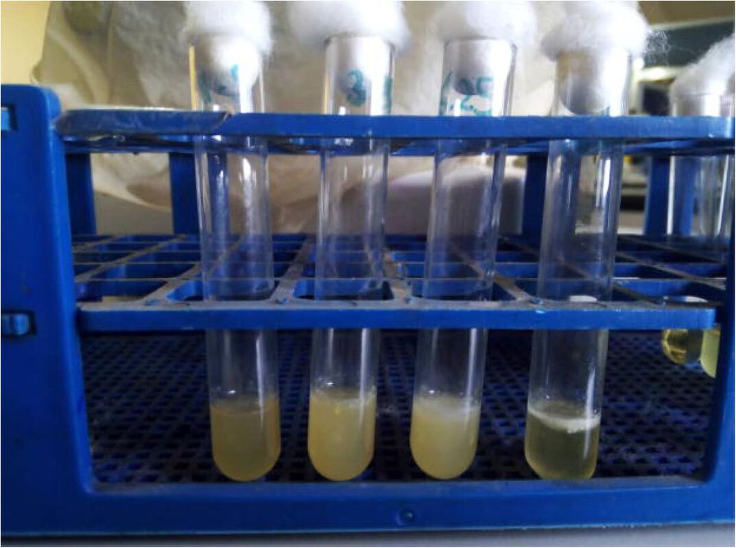 Переоценка одобренных FDA антибиотиков с повышенной диагностической точностью оценки резистентности к противомикробным препаратам