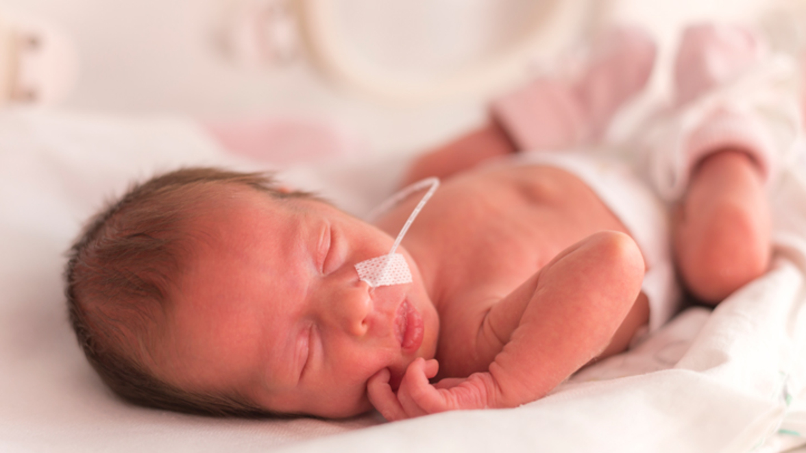 Пробиотики не так эффективны у новорожденных с низкой массой тела, как показали испытания