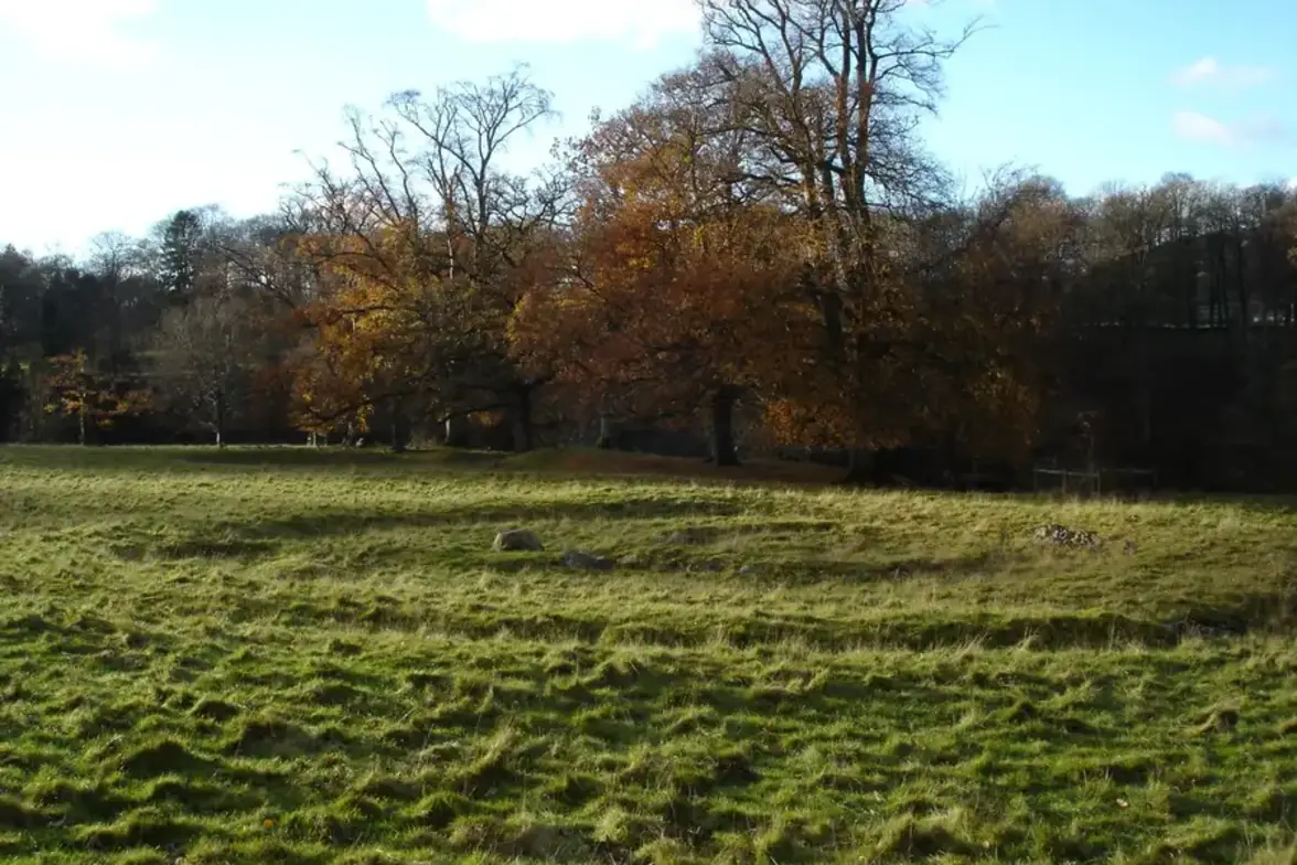 Европейцы болели чумой по меньшей мере 4 000 лет назад