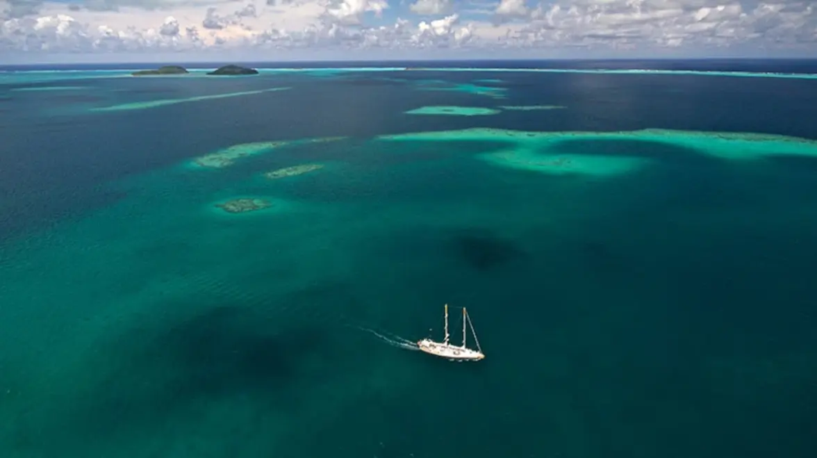 Коралловые рифы являются домом для самого большого микробного разнообразия на Земле