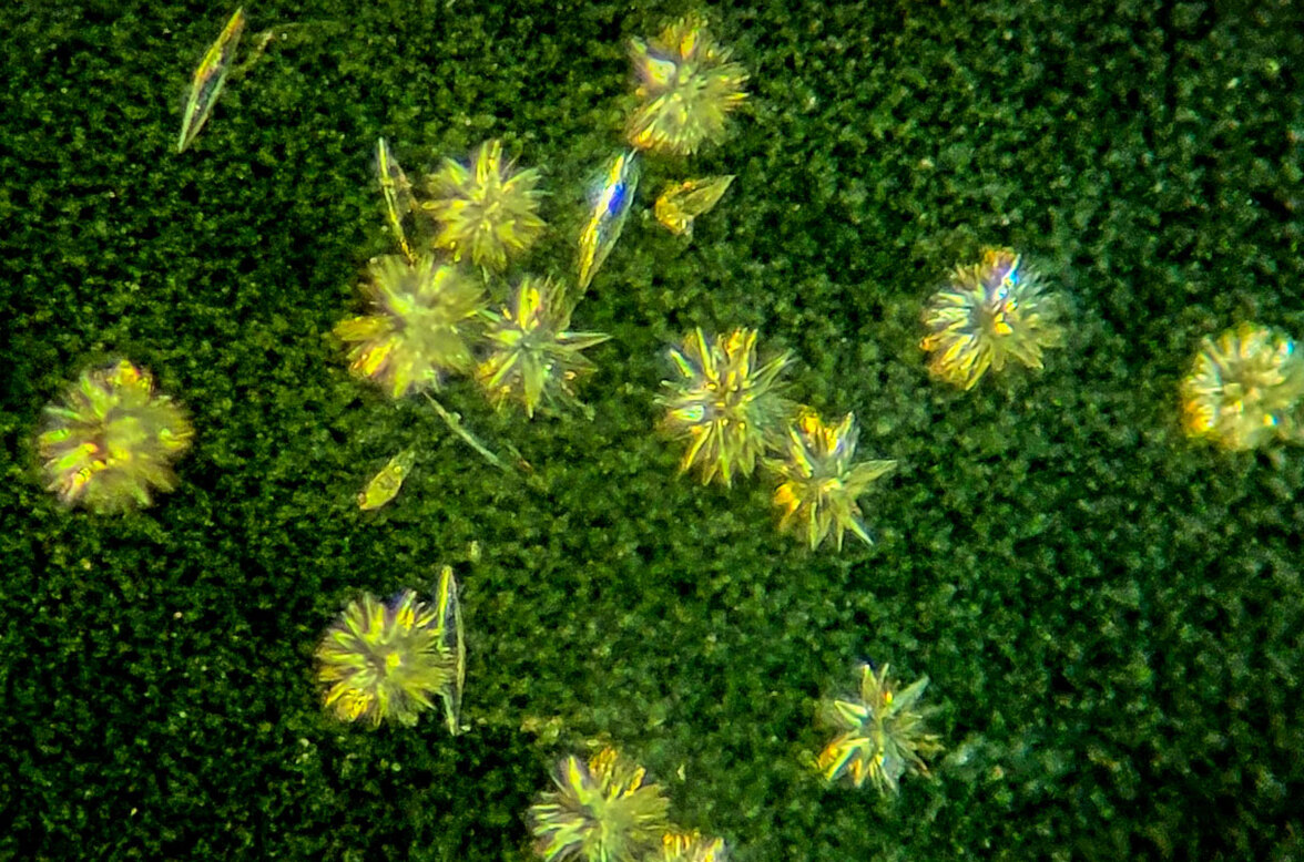 Открытие объясняет, почему молекулы жизни являются левосторонними или правосторонними