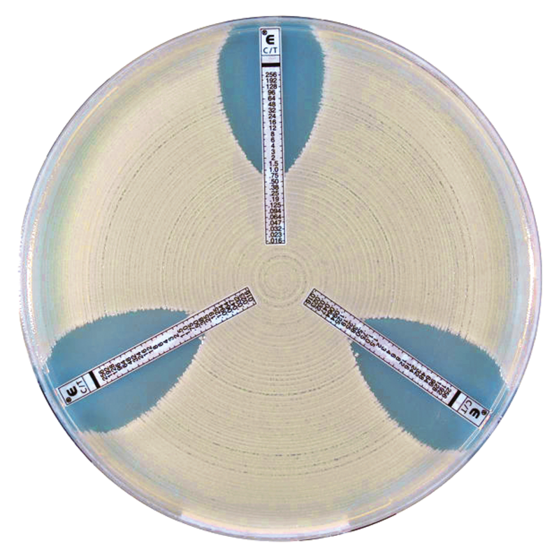 E-тесты для определения чувствительности микроорганизмов к антибиотикам