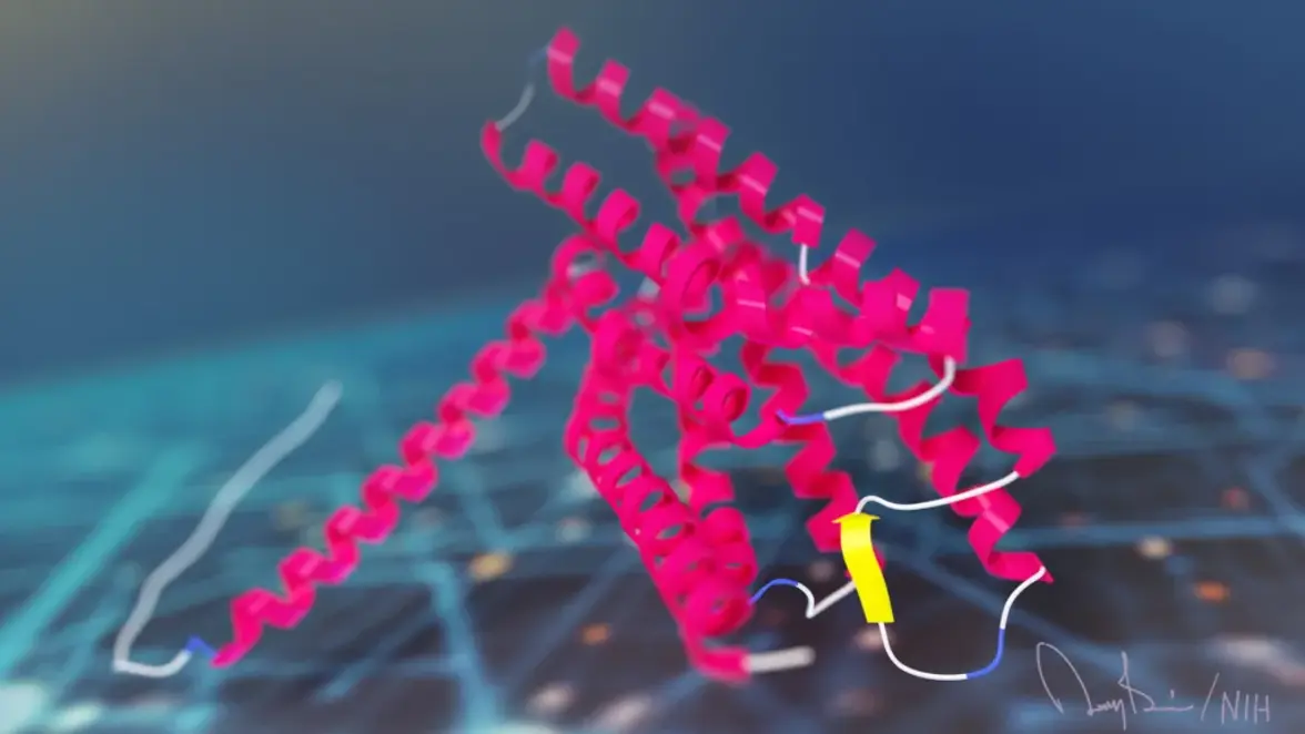 Первое испытание на человеке оценивает дозировку ингибитора металло-бета-лактамазы