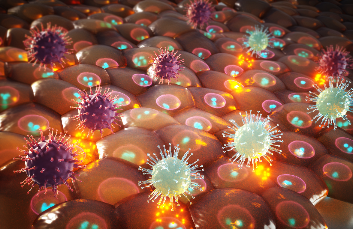 Индуцированный вирусами врожденный иммунный ответ и воспаление