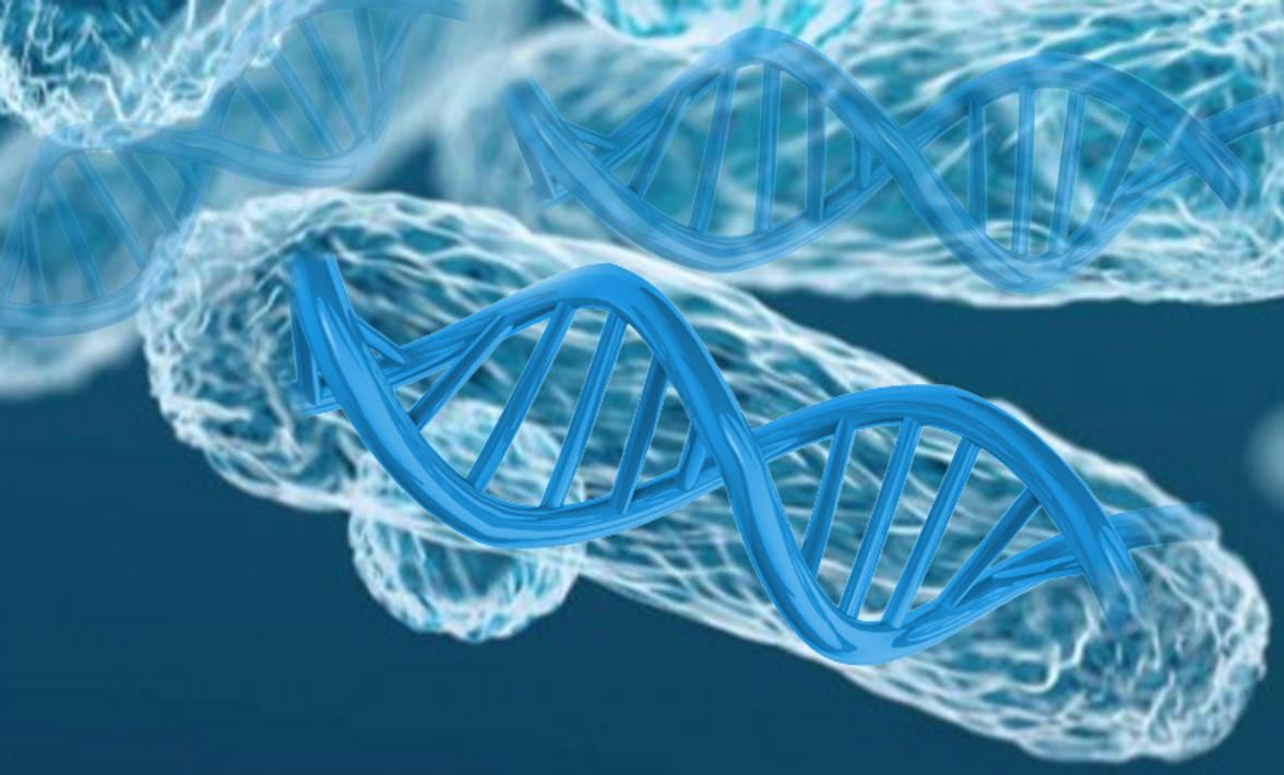 Новый алгоритм помог найти тысячи повторяющихся элементов в геномах бактерий