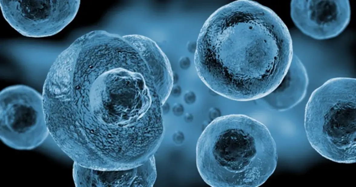 Инструменты для борьбы с резистентностью к противомикробным препаратам на основе технологий работы с единичными клетками