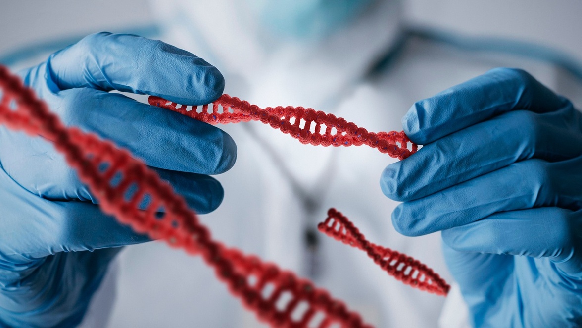 Исследование патогенных паттернов и молекулярных механизмов у возбудителей грибковых заболеваний человека и животных с помощью омики