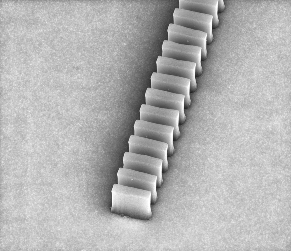 Биочип может обнаруживать множество вирусов, раковых опухолей или токсинов за считанные минуты