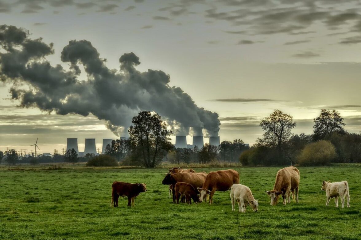 Исследование показывает, что рост резистентности к антибиотикам связан с загрязнением окружающей среды