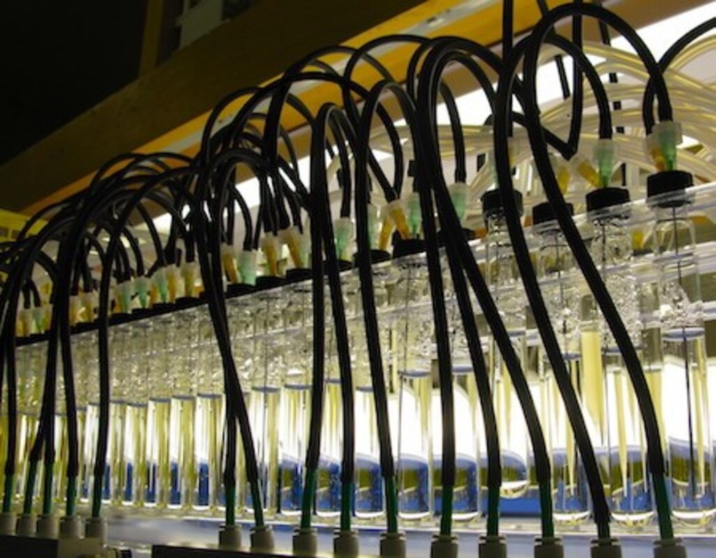 Микробные биотехнологии в управлении отходами