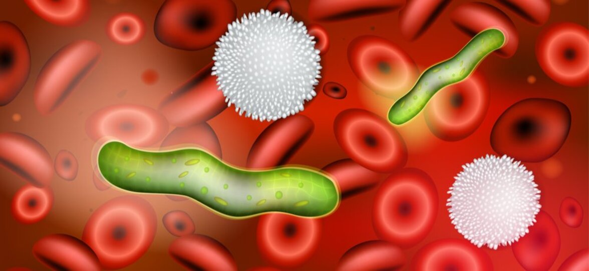 CDC запускает программу борьбы с сепсисом в больницах США