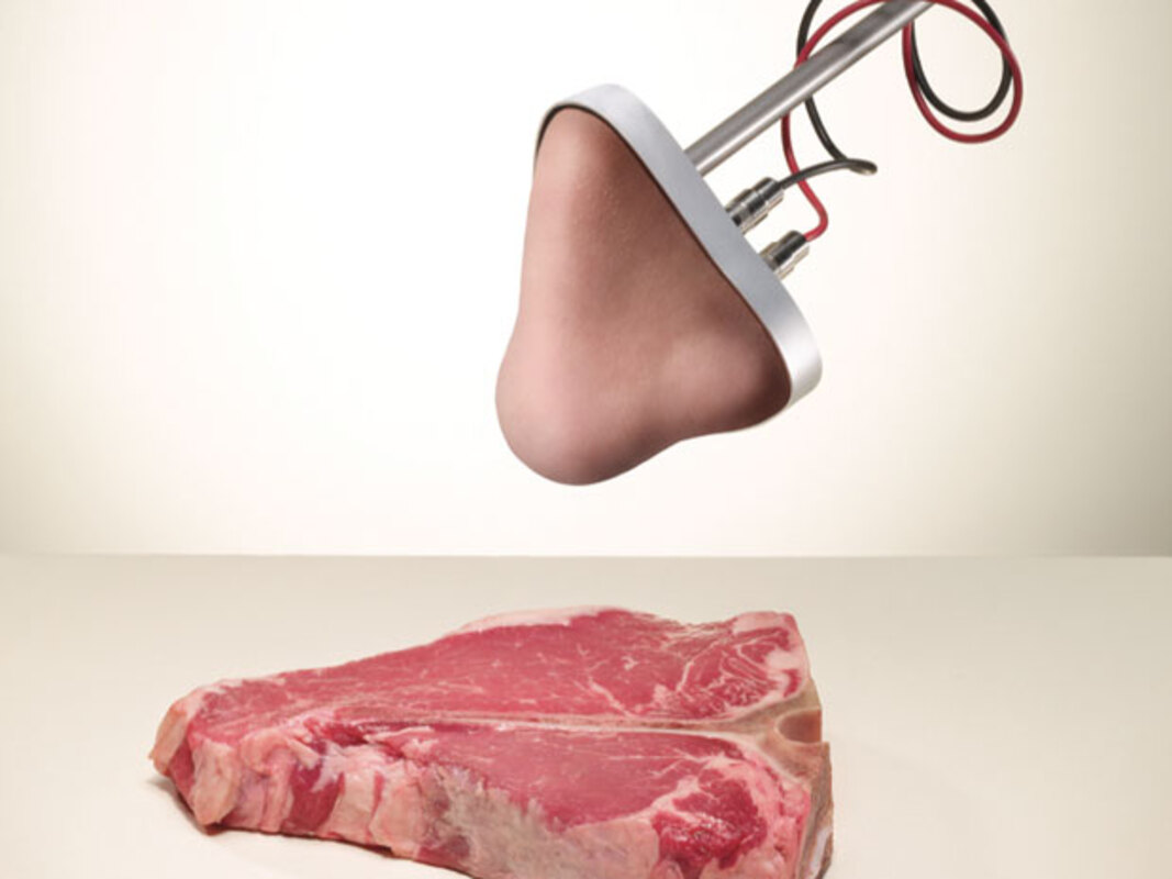 Сочетание электронного носа с микробиологией как инструмент для быстрого обнаружения Salmonella