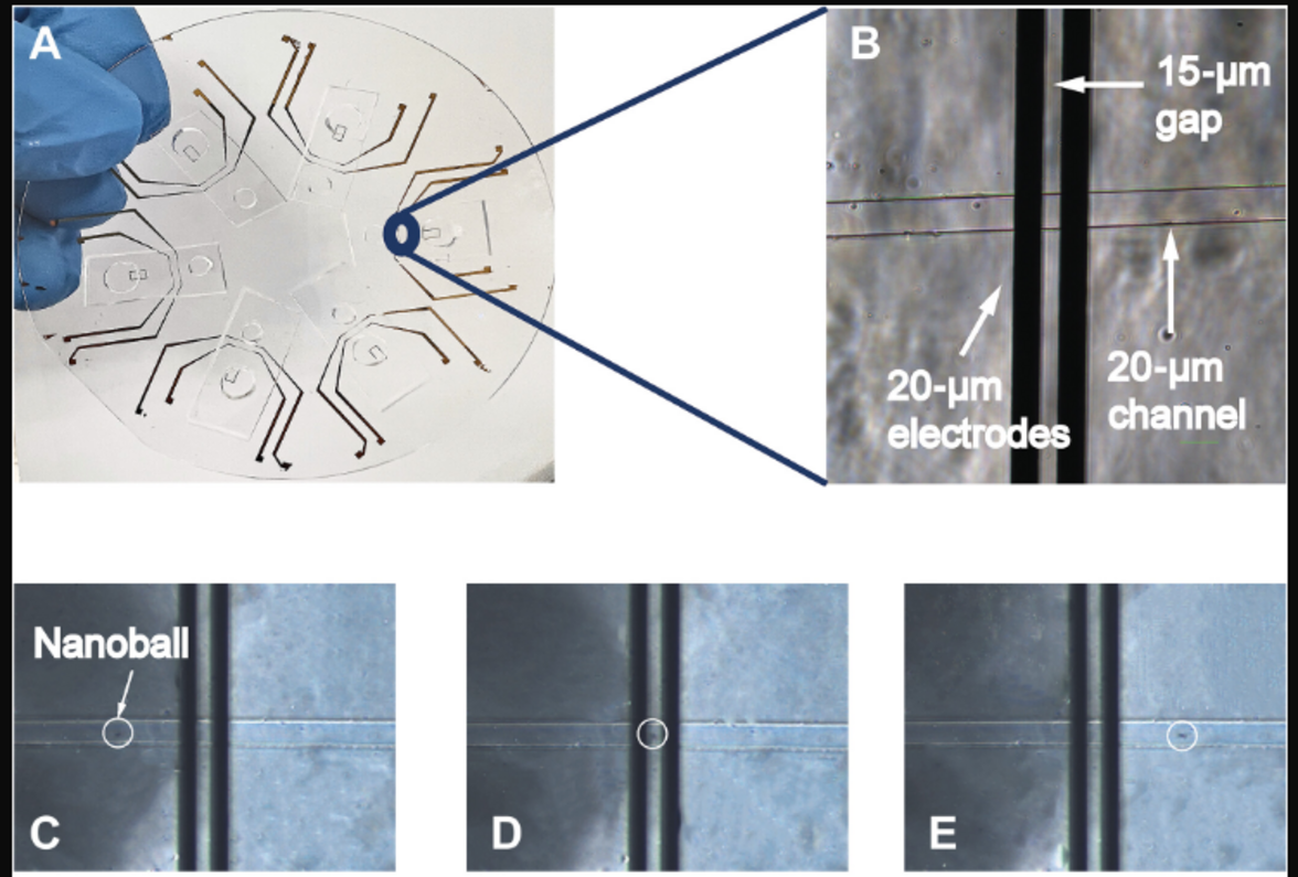 Цифровой анализ для быстрого электронного количественного определения клинических патогенов с использованием ДНК-наношариков