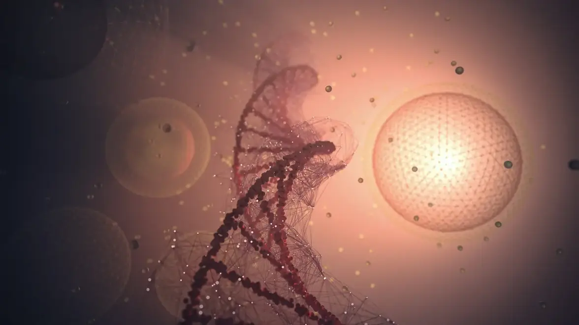 Интегроны в развитии резистентности к противомикробным препаратам: критический обзор и перспективы