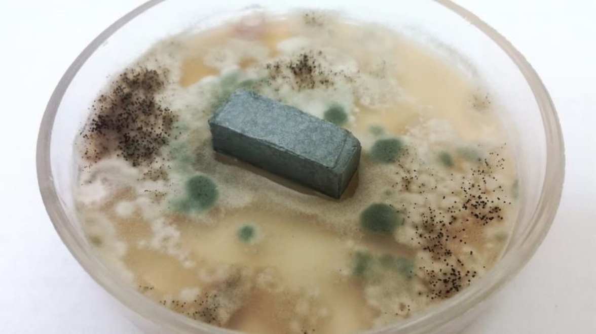 Ученые выяснили, как защитить стройматериалы от микроорганизмов, вызывающих коррозию