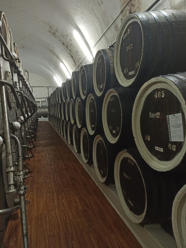 Российские генетики изучили ключевые микробные сообщества для производства вин типа херес