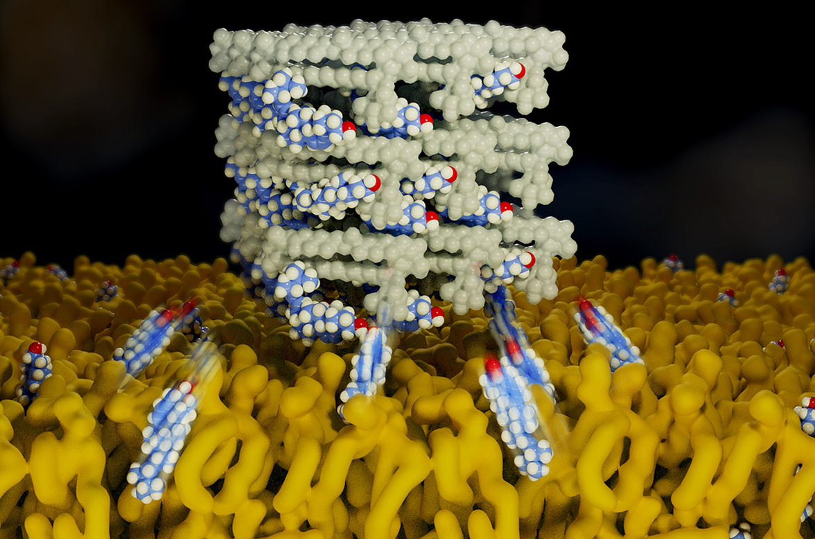 Новый противогрибковый препарат действует без токсичных побочных эффектов