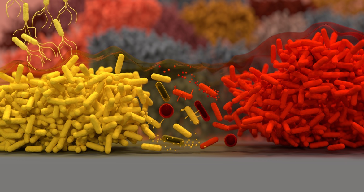Эволюция оружия ближнего и дальнего действия в бактериальной конкуренции