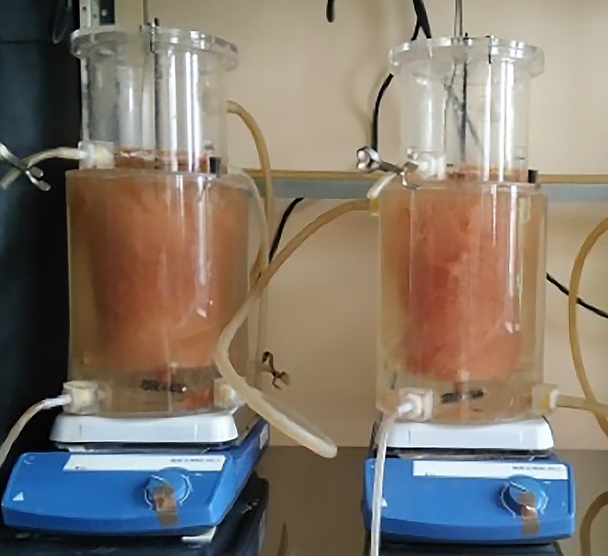 Сульфиды - не помеха для бактерий, очищающих сточные воды