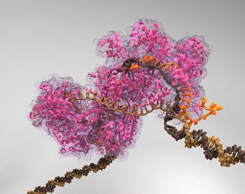 CRISPR 2.0: новое поколение генных редакторов отправляется на клинические испытания