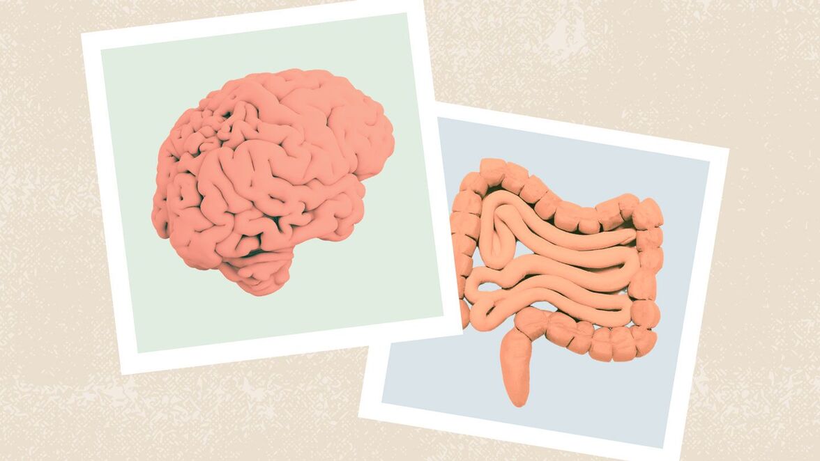 Динамические изменения функций мозга и микробиома кишечника при потере веса
