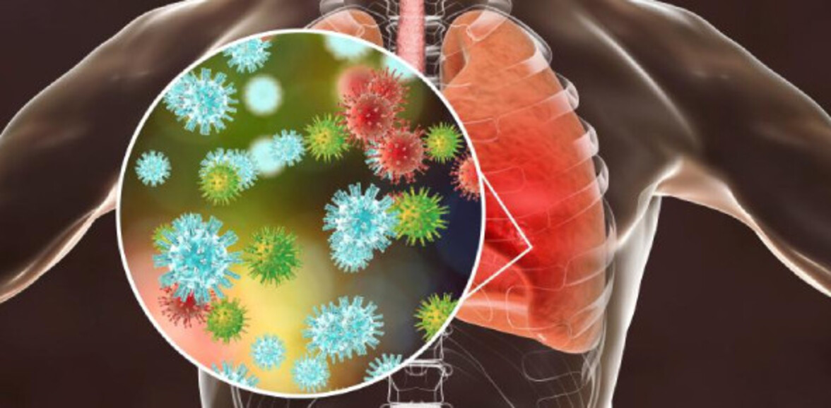 Взаимодействие между вирусами и бактериями при респираторных инфекциях