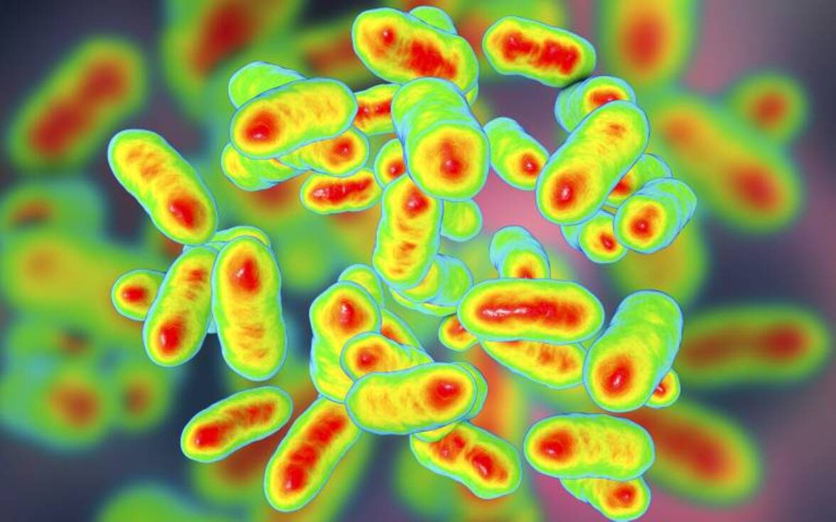 Новые бактерии, открытые в 2023 году