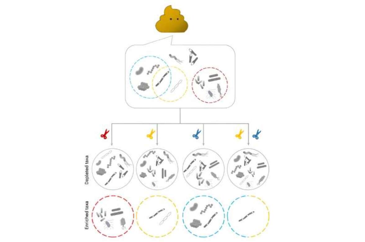Геномный "пинцет" открывает новую эру высокоточного исследования микробиома